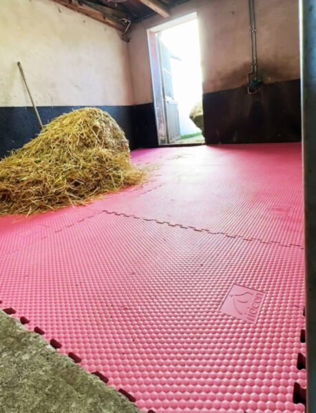 Pinke EVA Stallmatten in Pferdebox