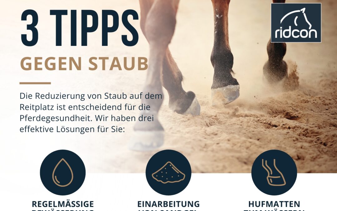 Staubfrei durch den Sommer: Diese 3 Produkte sagen dem Staub auf Ihrem Reitplatz den Kampf an