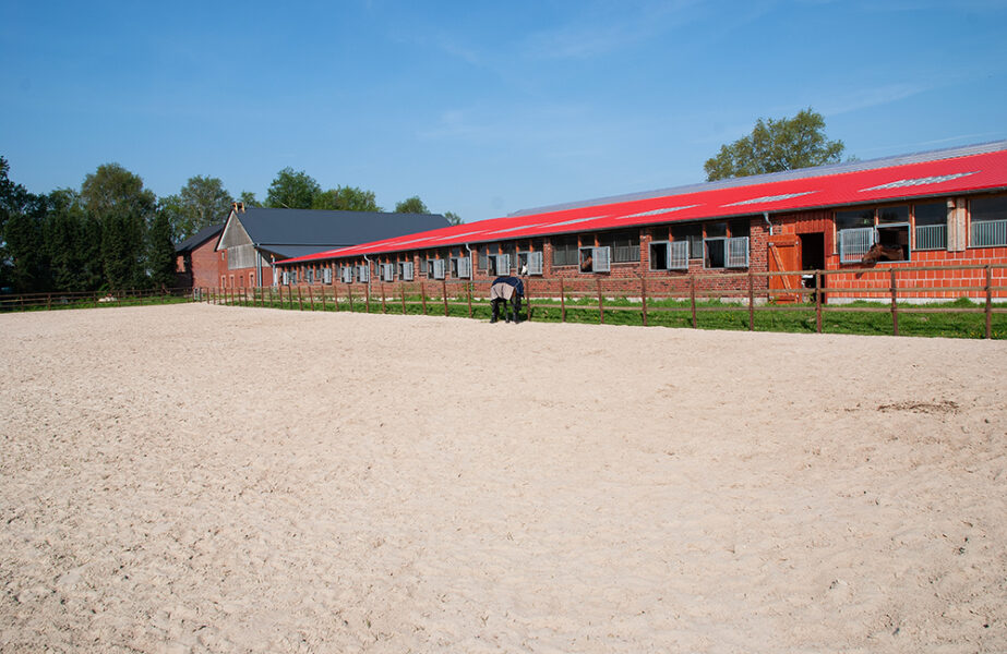 Fertiger Reitplatz mit RIDCON ProGrid Reitplatzplatten