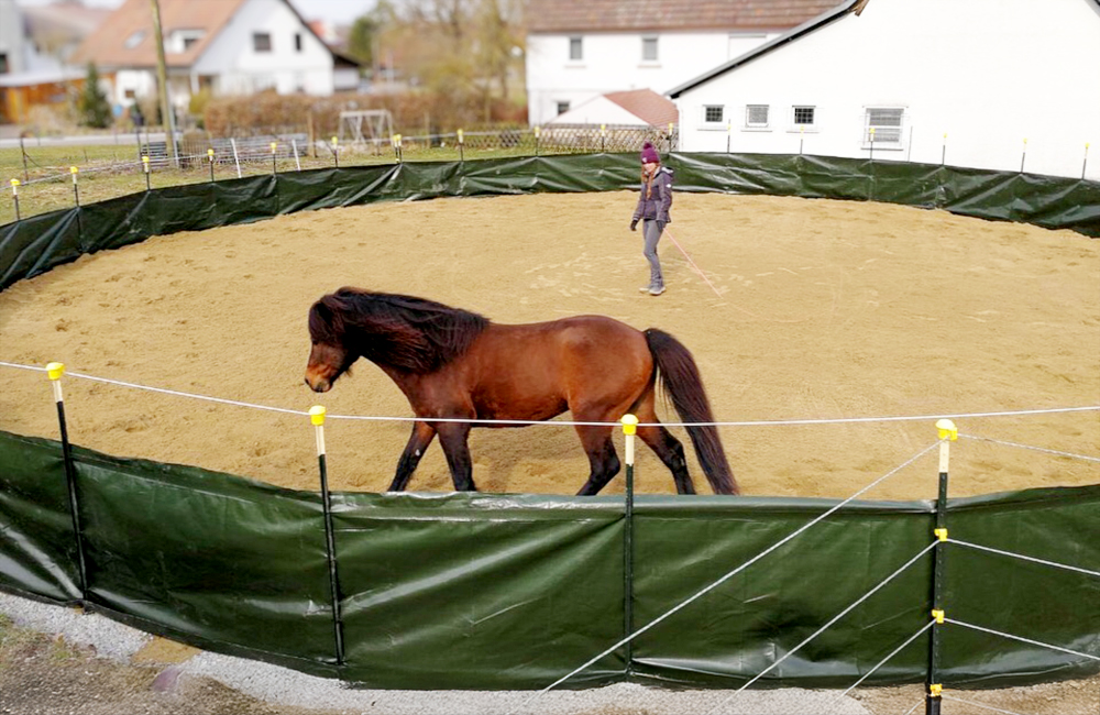 Ein Pony wird in einem Longierzirkel geführt