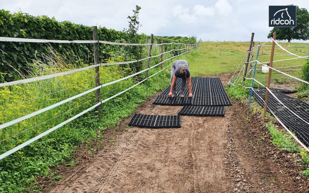 Paddock Trail planen: Die optimale Bodenbefestigung für gesunde Pferdehufe